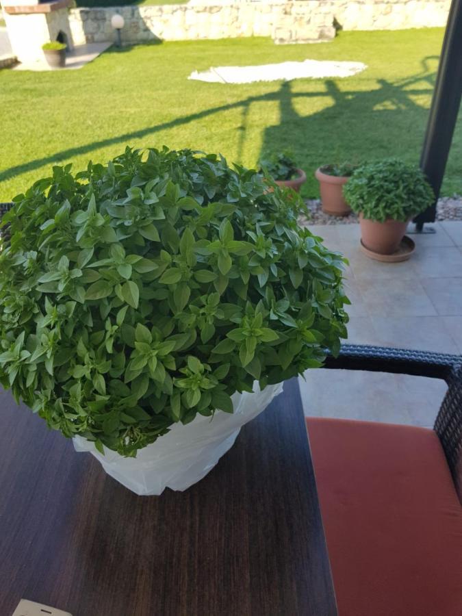 Kriopigi Paradise Eksteriør billede